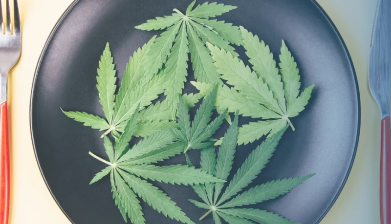 how to cook with cannabis