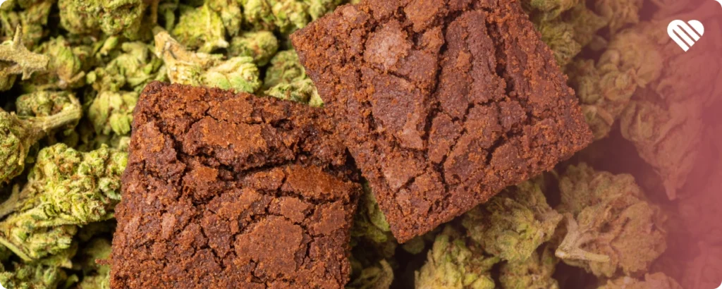 Factors that Affect the Potency of Edibles
