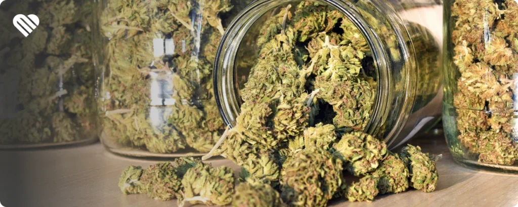 How high doses of THC affect anxiety