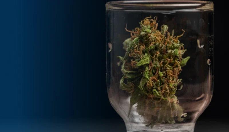 how to sober up from weed
