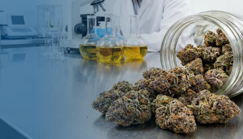 does weed really kill brain cells?