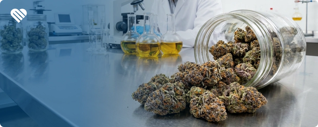 does weed really kill brain cells?