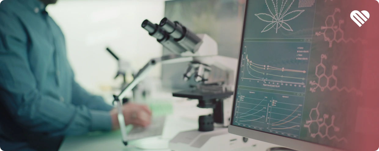 does cannabis kill brain cells?