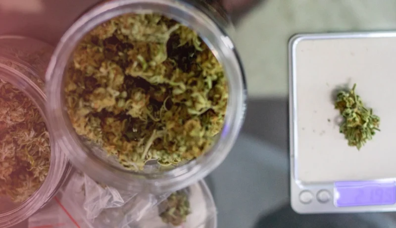 weed measurements