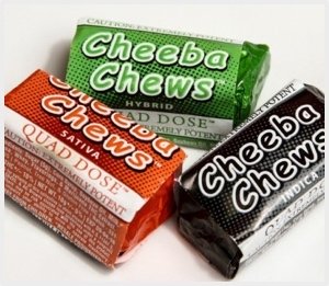 Cheeba Chews Price