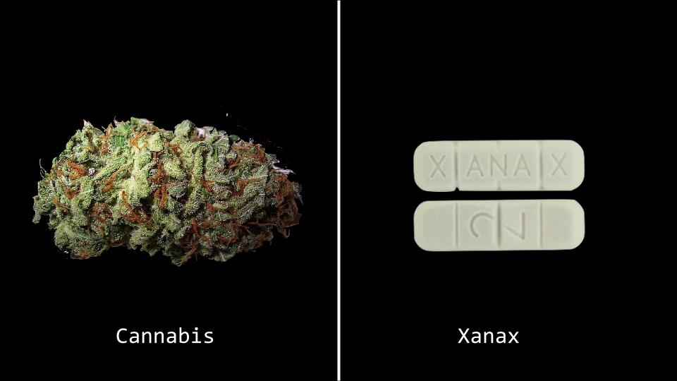 Cannabis Can Replace Prescription Pills