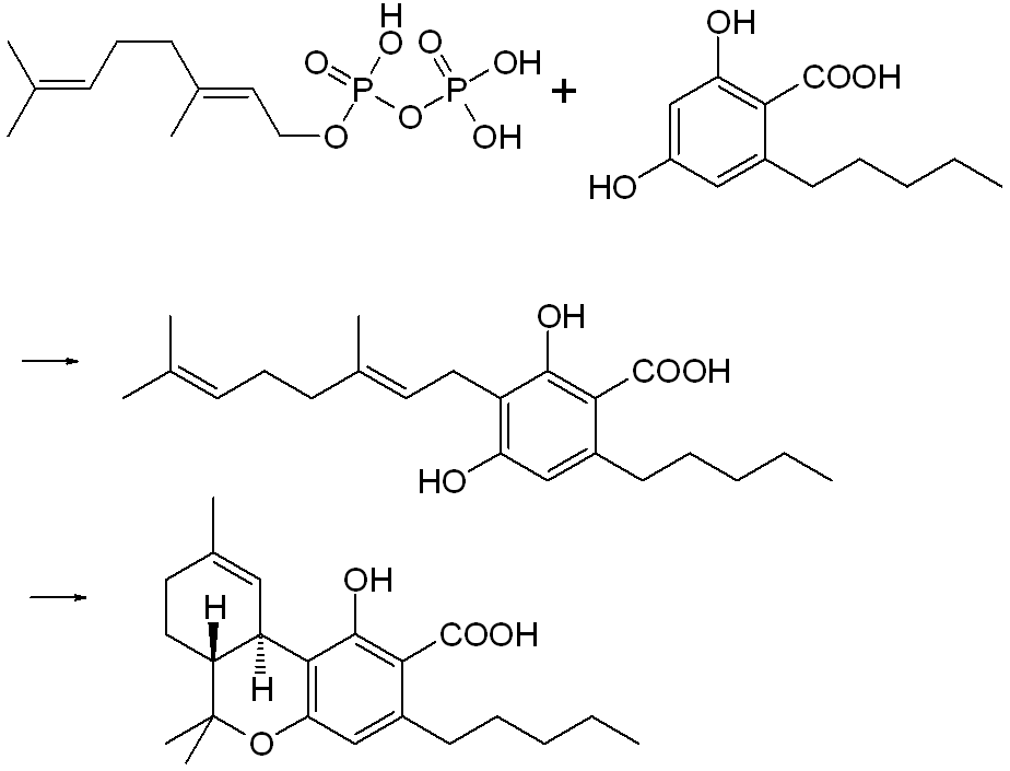 THC chemical composition diagram