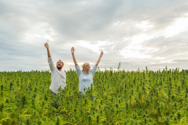 Does CBD get you high? Not like THC, but some users report feeling more relaxed and other pleasant effects.