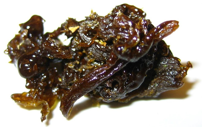 jelly hash or caviar hash