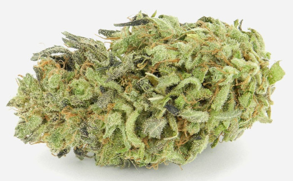 Durban Poison dried flower