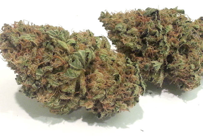 Chemdawg dried flower