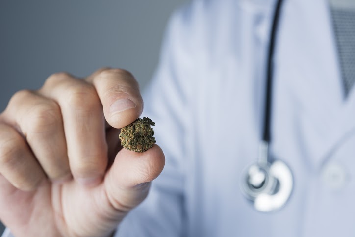 doctor holding cannabis nug