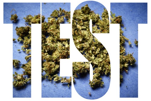 cannabis drug test