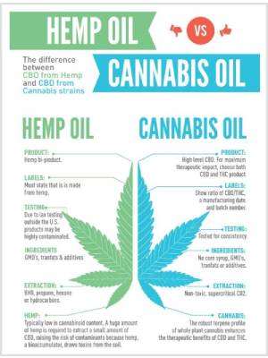 hemp oil vs cannabis oil