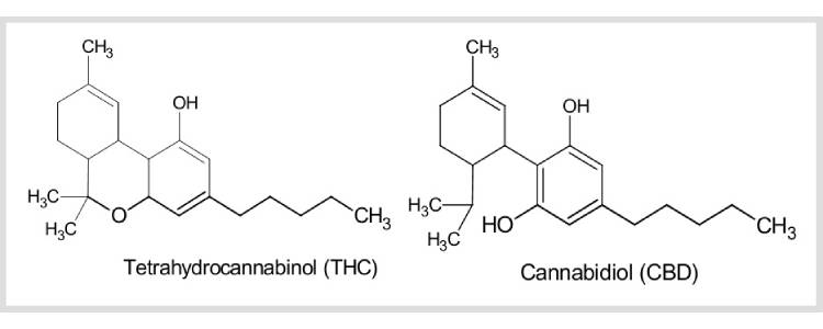 THC and CBD chemical structures