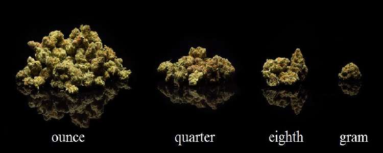 Here, you see what an ounce of weed looks like, compared to other common measurements.