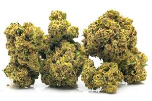 Weed Measurements & Prices (Consumer Guide)