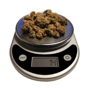 Weed Measurements & Prices (Consumer Guide)