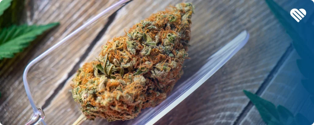 Cannabis for Pain: Top Strains According to Patients