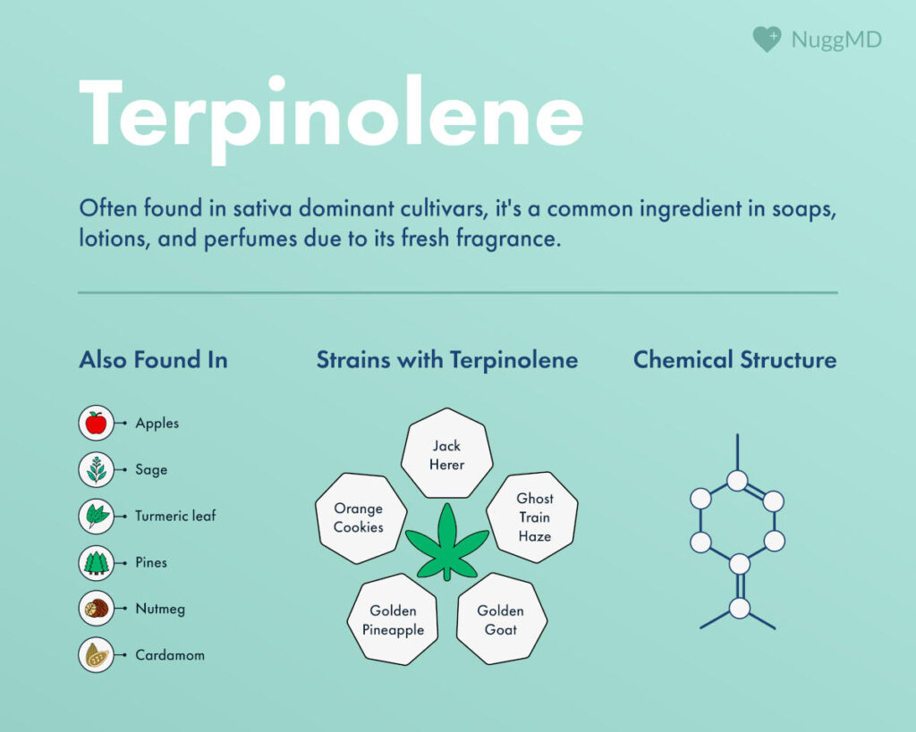 terpinolene effects