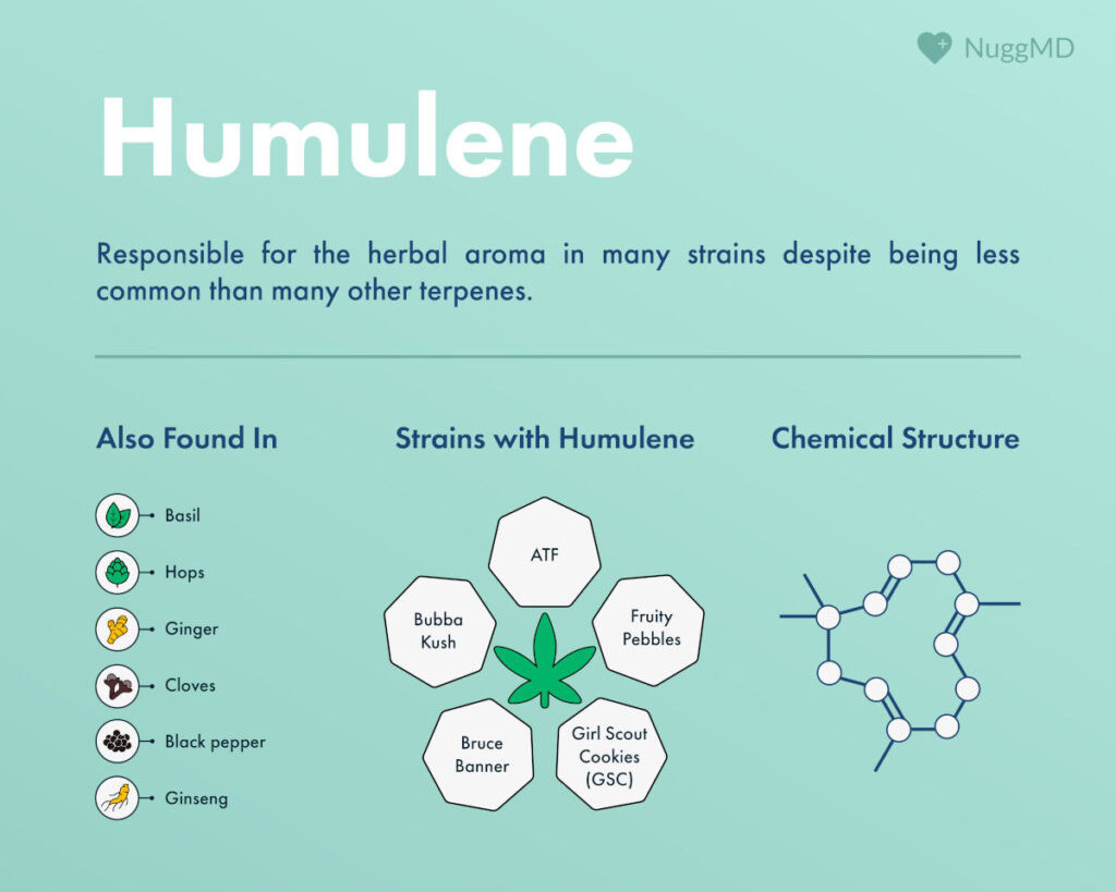 Effects of the humulene terpene