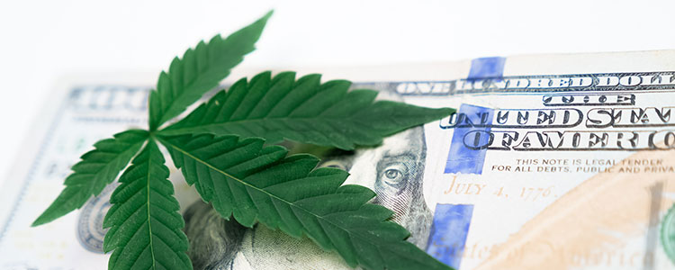 cannabis potency tax