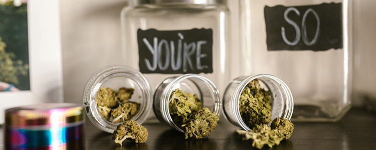 summer indica and sativa strains for medical marijuana patients