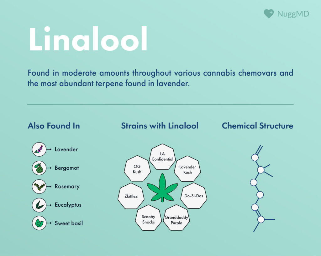 Effects and benefits of the linalool terpene