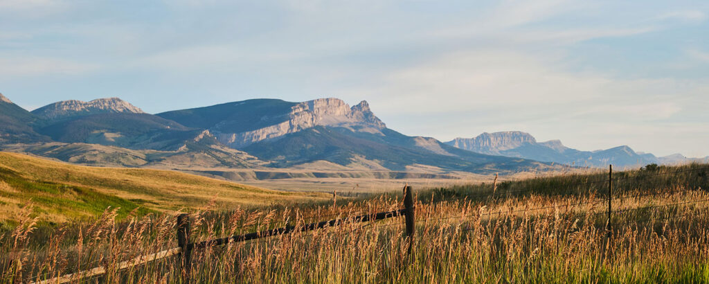 Montana weed laws