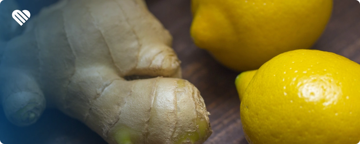 What are the Common Cannabis Terpenes?