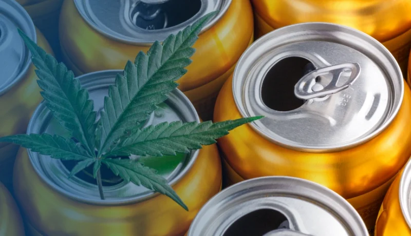 top thc drinks in 2026
