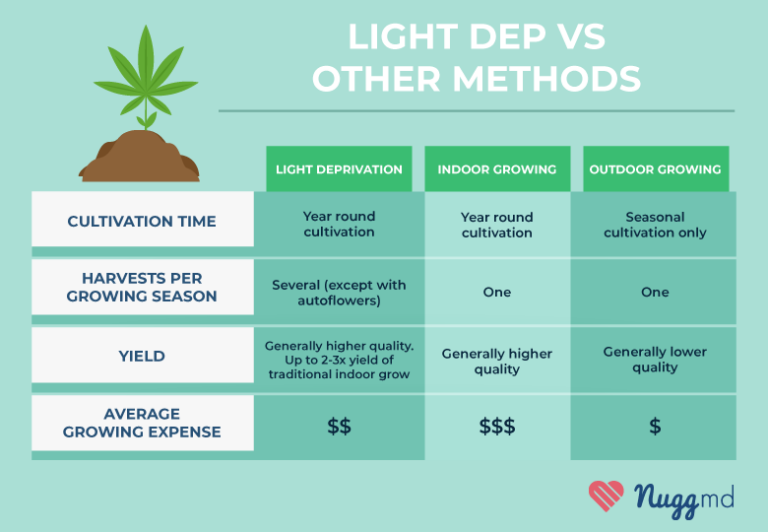 Light Dep Weed The Right Growing Method for You? NuggMD