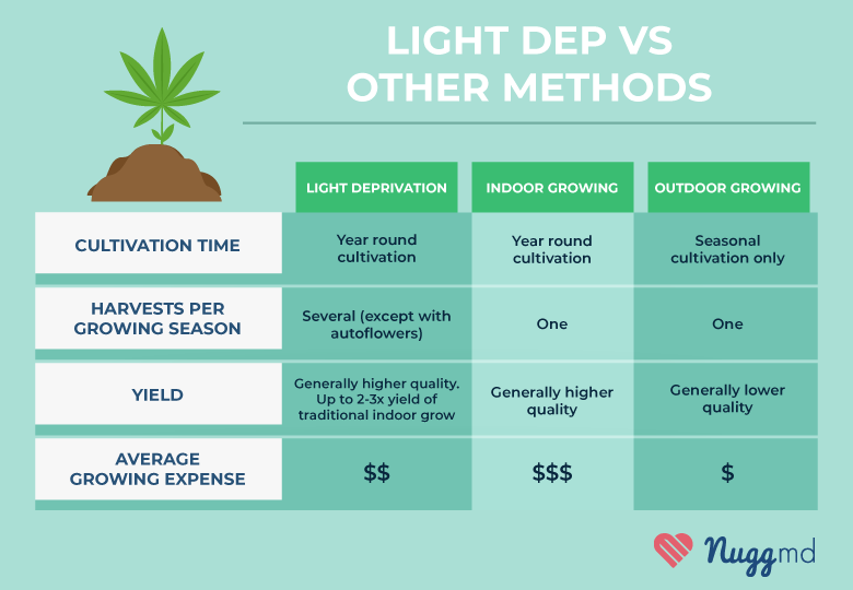 Light dep growing vs other growing methods