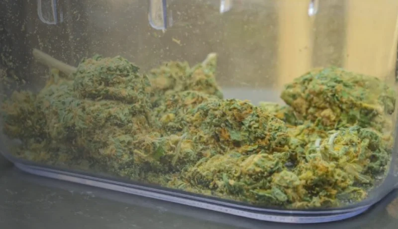 does weed expire?