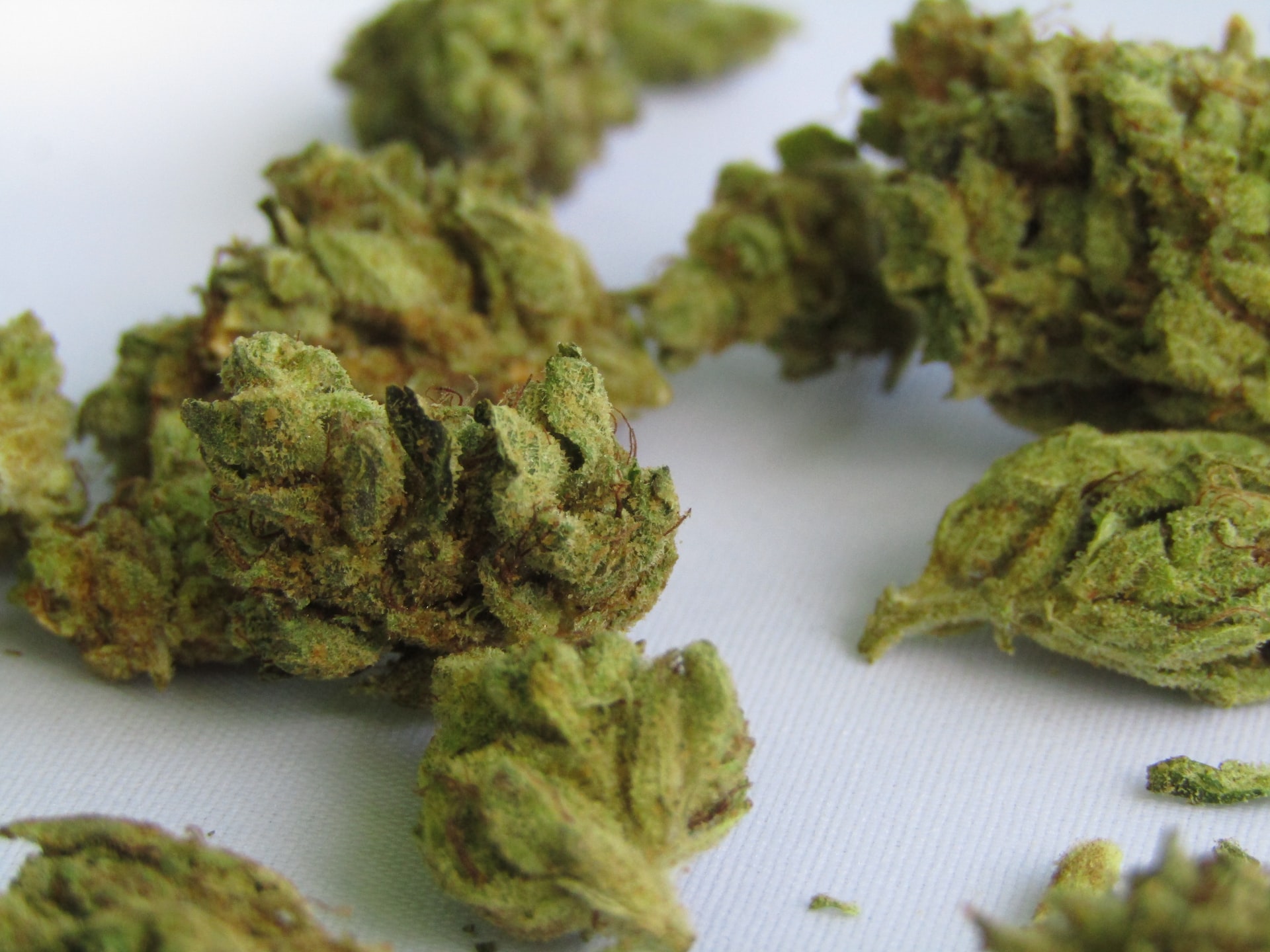 weed strains for epilepsy