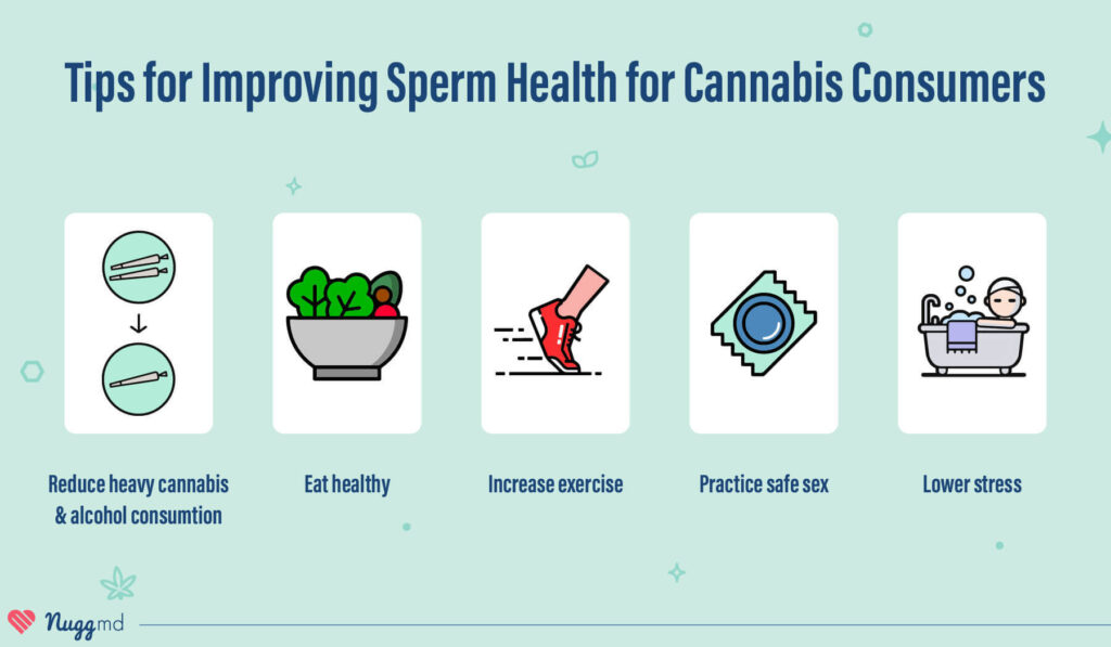 tips for improving sperm health for cannabis consumers