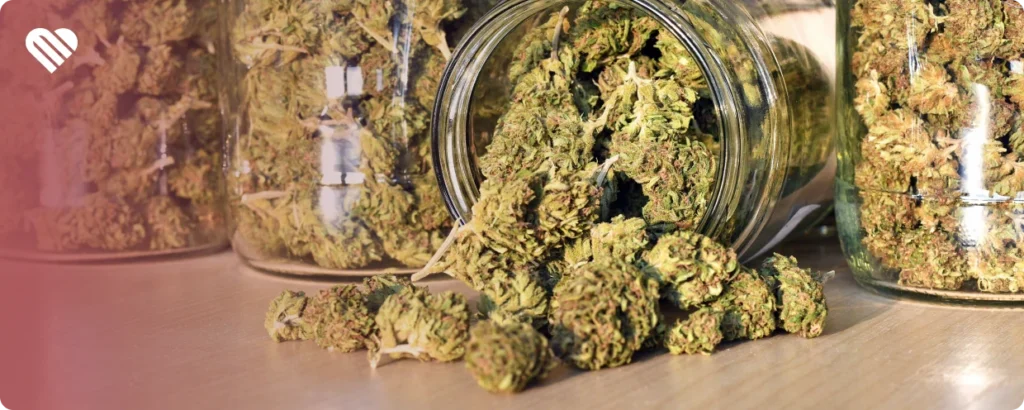 Can you smoke weed steams safely?