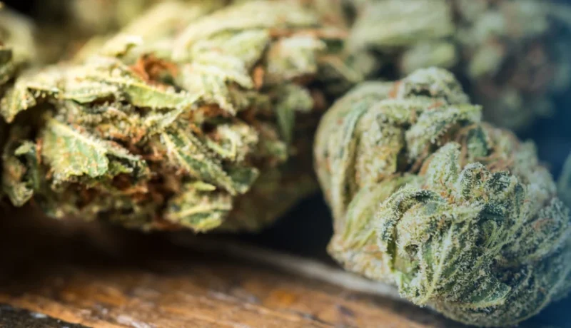 Can you smoke weed stems?