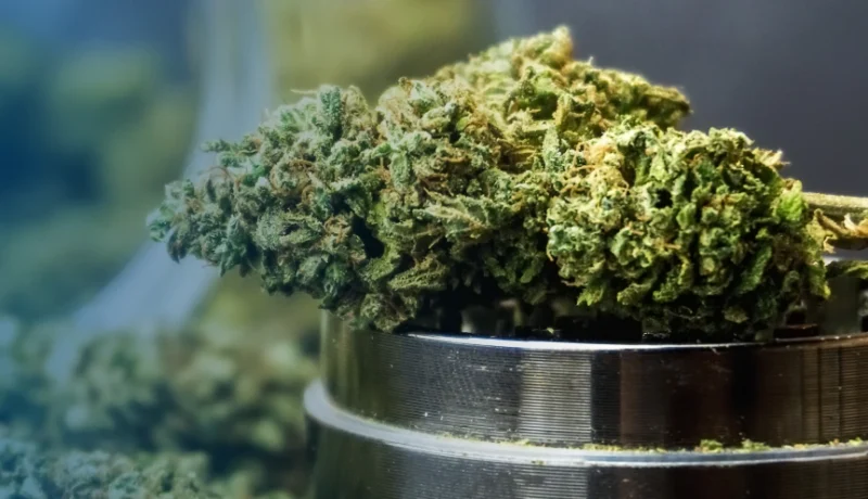 how to get the most out of weed