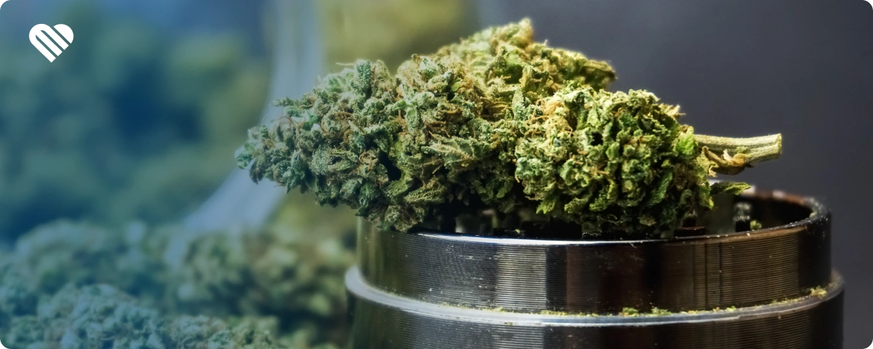 how to get the most out of weed