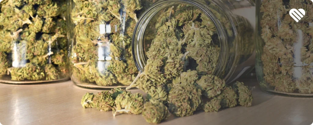 practical tips to get the most out of weed