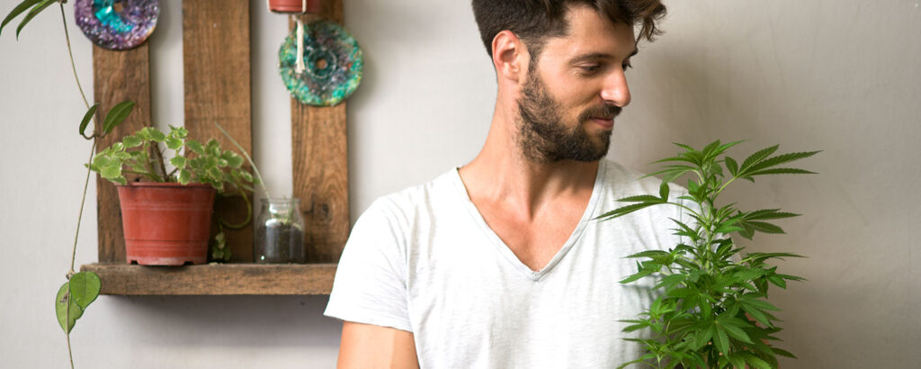 man holding cannabis plant