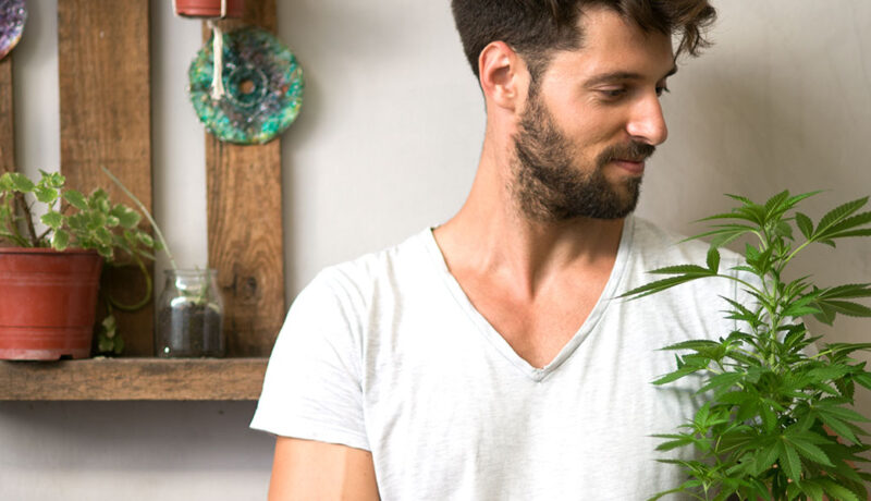 growing weed with hydroponics