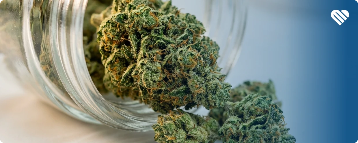 Medical vs Recreational Weed