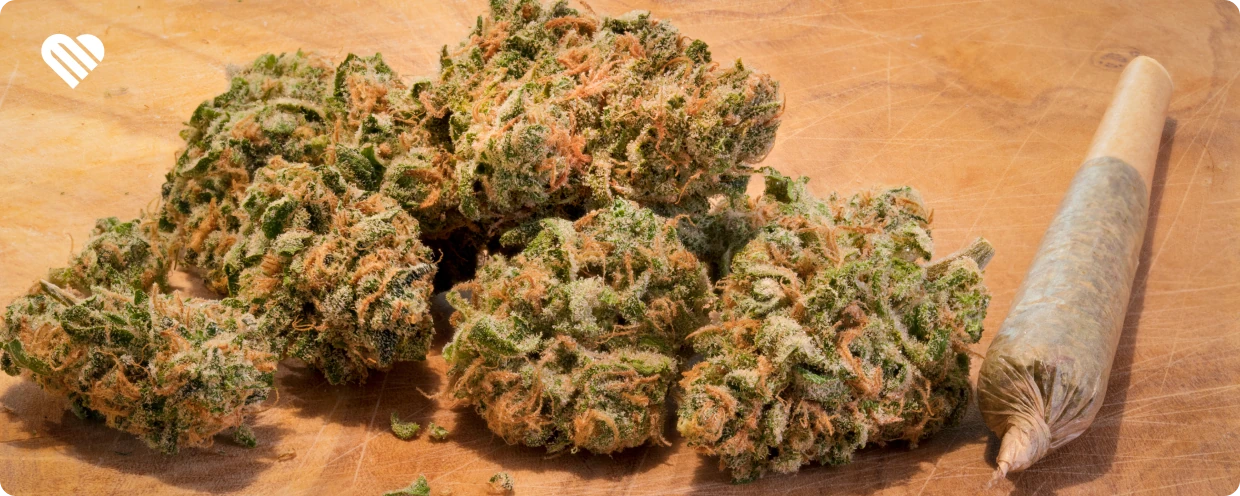 Types of cannabis pre rolls