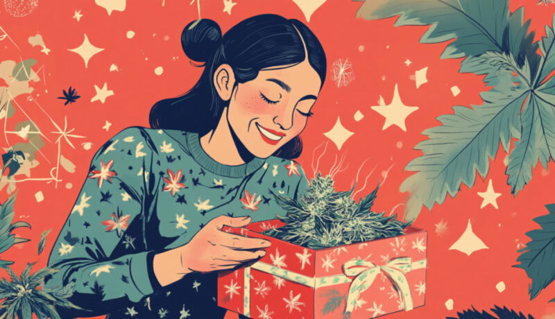 How to pick the right weed subscription box