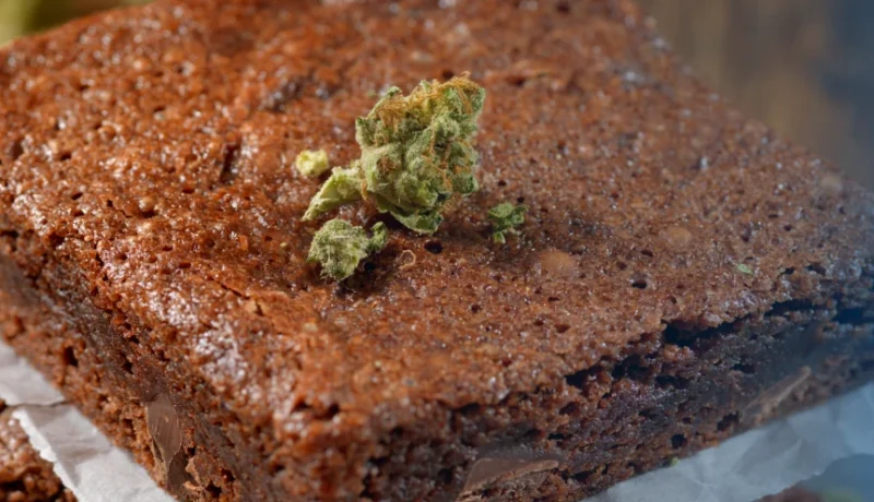 Are Edibles Bad for You?