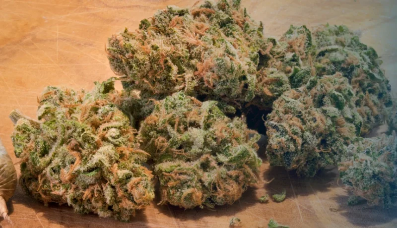 What is Caviar Weed?