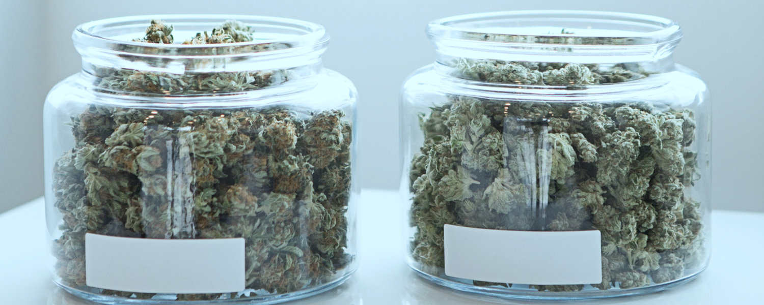 Will Syn fake weed get you high? The Pitch product tests for you