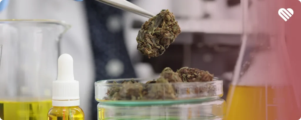 What are the effects of synthetic weed?